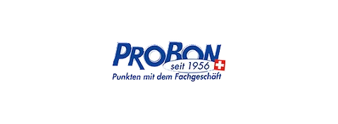 Bernhard Schweizer Organisationsentwicklung Nachfolgeplanung Executive Coach Refrenzlogo von PROBON